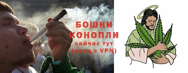 шишки Корсаков