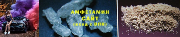 шишки Корсаков