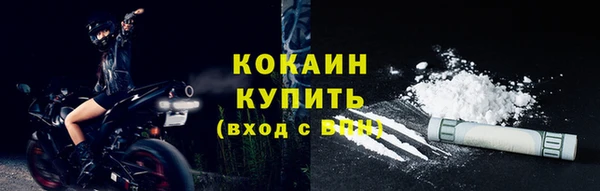 стаф Коряжма