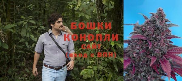 шишки Корсаков