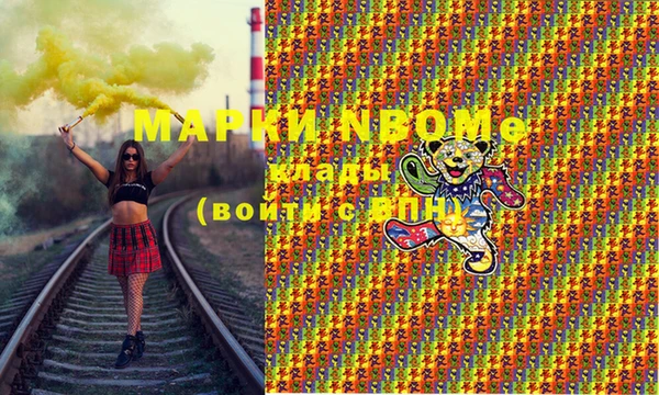 шишки Корсаков