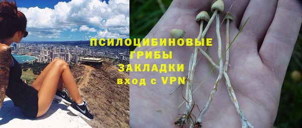 стаф Коряжма