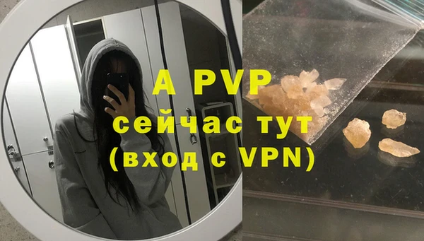 шишки Корсаков