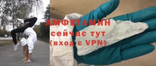 шишки Корсаков