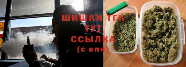 шишки Корсаков