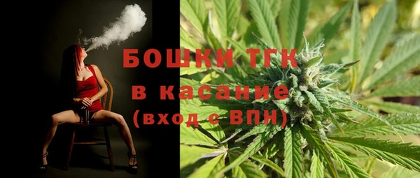 стаф Коряжма