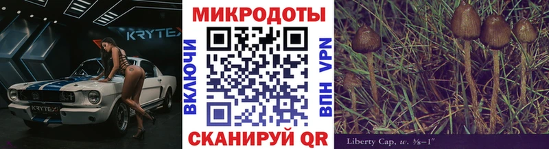 Галлюциногенные грибы Psilocybine cubensis  Купить где  Лаишево 